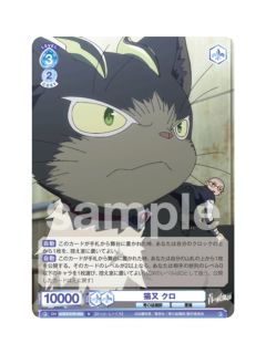 N小黑-WSB对战卡补充包