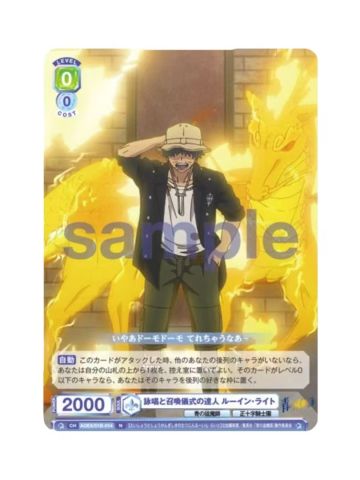 N鹭英-WSB对战卡补充包