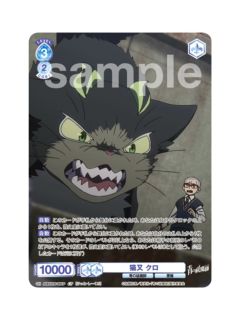 CP小黑&三轮子猫丸-WSB对战卡补充包