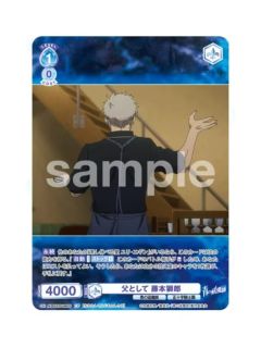 CP藤本狮郎-WSB对战卡补充包