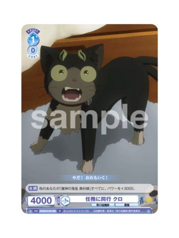 N小黑-WSB对战卡补充包