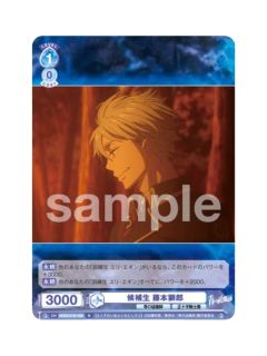 N藤本狮郎-WSB对战卡补充包