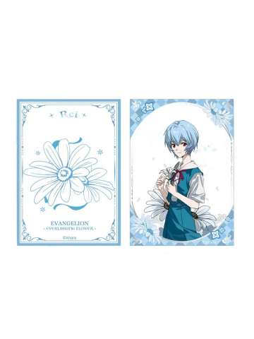 绫波丽-永生花境系列透卡套组