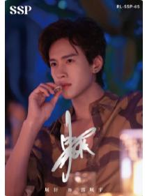 SSP【未完侧写】