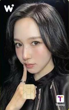 wowpass交通卡 南