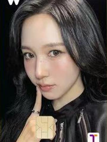 wowpass交通卡 南