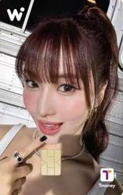 wowpass交通卡 桃