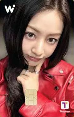 wowpass交通卡 效