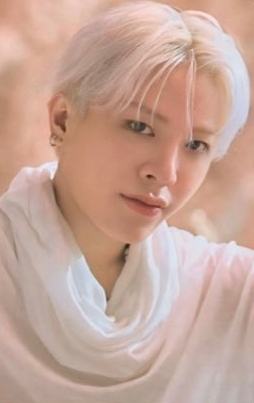 场周随机卡 桃 ver.A