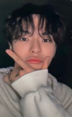 场周随机卡 材 ver.E