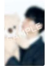 26台历sm日区 赫