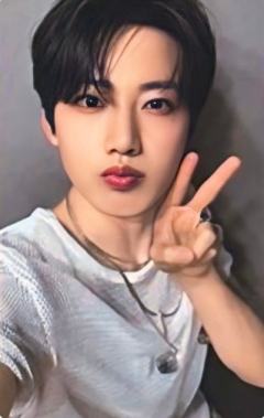 演唱会pb版场限 奎