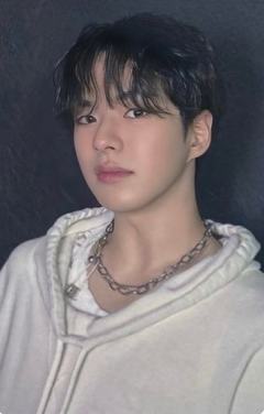 日巡快闪场限 材