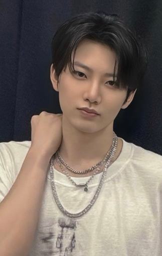 日巡快闪场限 奎