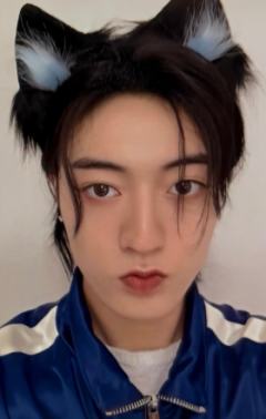 日巡快闪满额 头