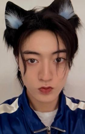 日巡快闪满额 头