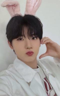 日巡快闪满额 奎