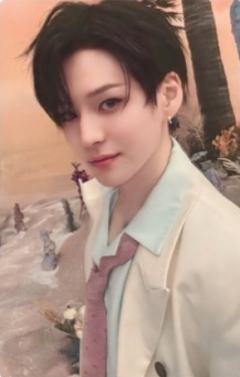 wvs会员礼 事 ver.B