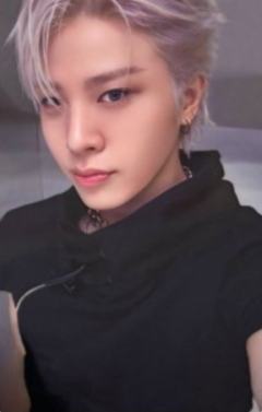 wvs会员礼 桃 ver.A