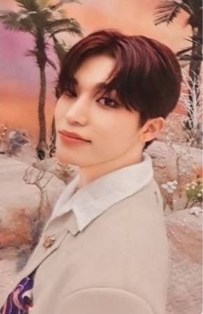 wvs会员礼 瓢 ver.B