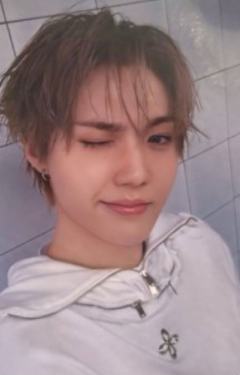 wvs会员礼 荣 ver.A