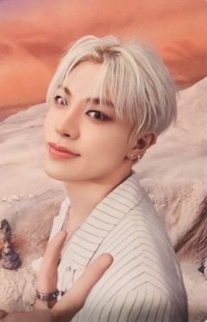 wvs会员礼 桃 ver.B