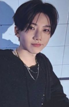 wvs会员礼 奎 ver.A