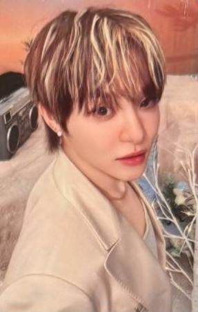 wvs会员礼 煮 ver.B