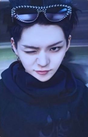 wvs会员礼 事 ver.A