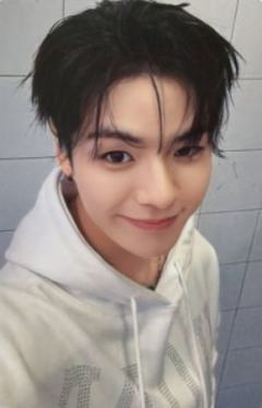 wvs会员礼 材 ver.A