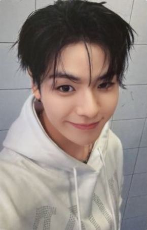 wvs会员礼 材 ver.A