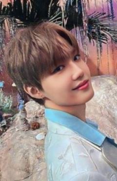 wvs会员礼 荣 ver.B