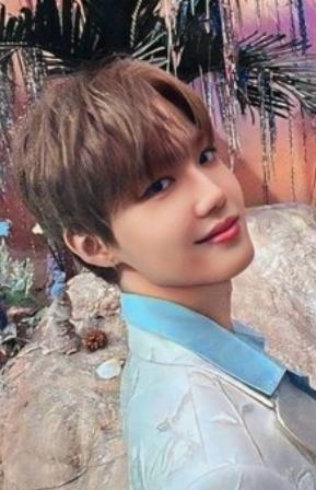 wvs会员礼 荣 ver.B