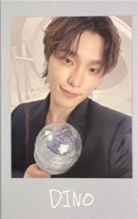 日巡贴纸拍立得 灿B