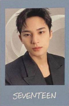 日巡贴纸拍立得 奎A