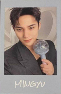 日巡贴纸拍立得 奎B