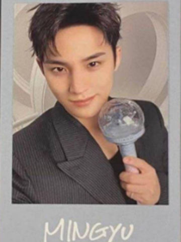 日巡贴纸拍立得 奎B