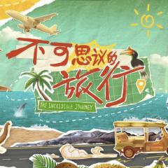 不可思议的旅行