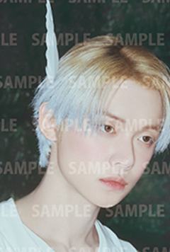 25cafe明信片1 ver.A