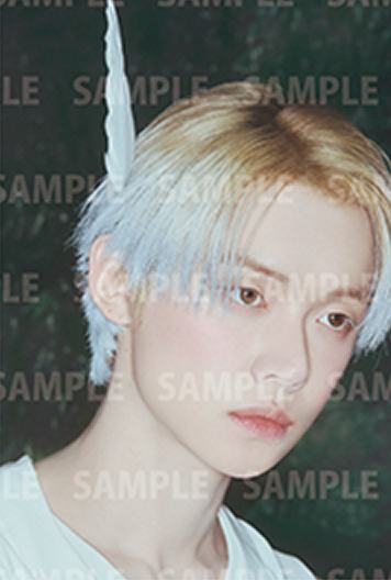 25cafe明信片1 ver.A