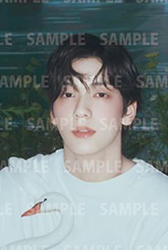 25cafe明信片2 ver.A