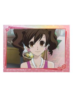 藤冈春绯1-暴蒙拍立得收藏卡