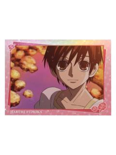 藤冈春绯2-暴蒙拍立得收藏卡