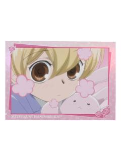 埴之冢光邦-暴蒙拍立得收藏卡