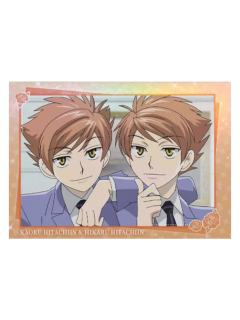 常陆院光&常陆院馨1-暴蒙拍立得收藏卡