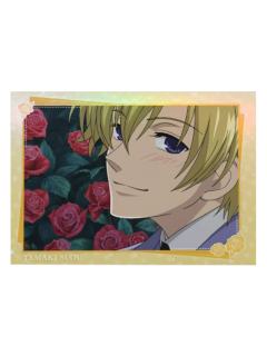 须王环1-暴蒙拍立得收藏卡