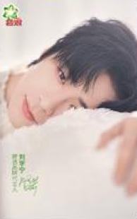 碧浪代言宅家卡 ver.B