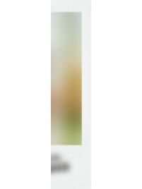 26台历拍立得 ver.B