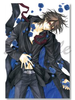 玖兰枢2单张明信片-2025年原画展