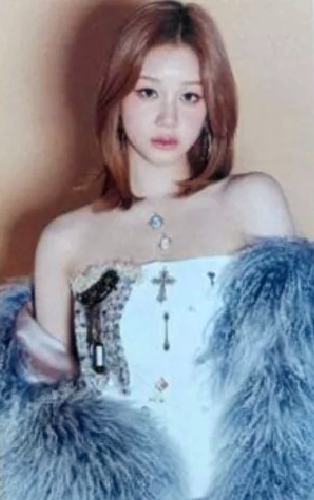 日本fm dvd场限 挞